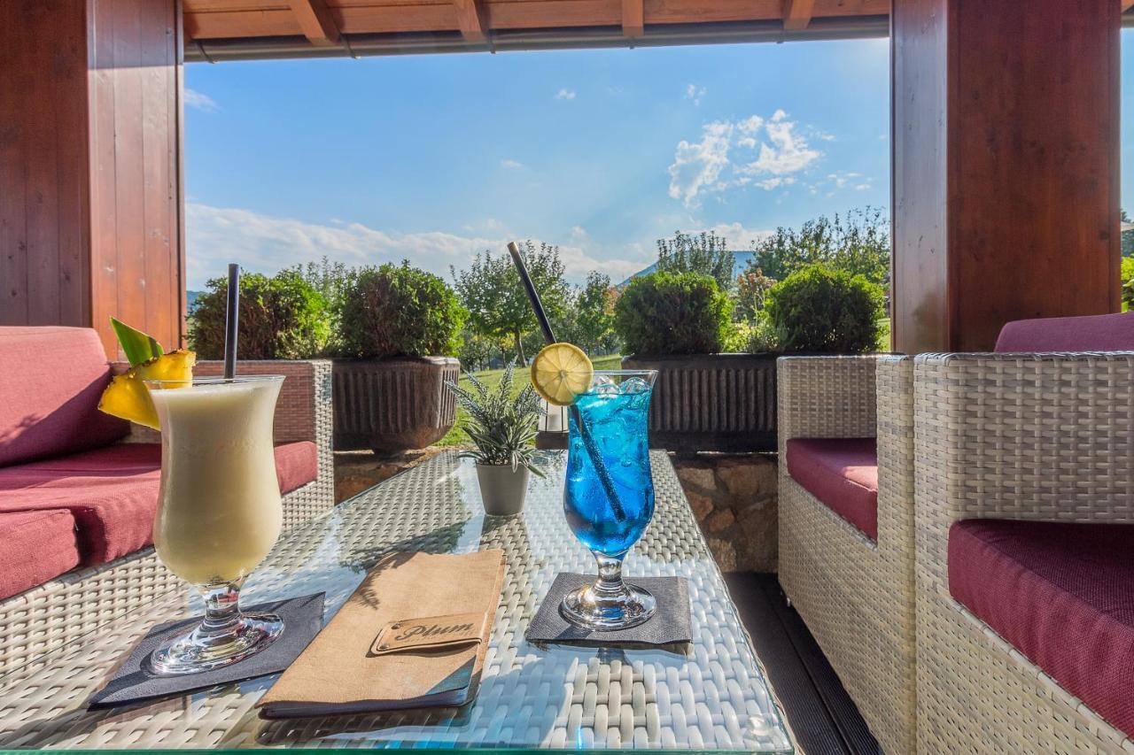 Hotel Degenija Селище Дрезницко Екстериор снимка